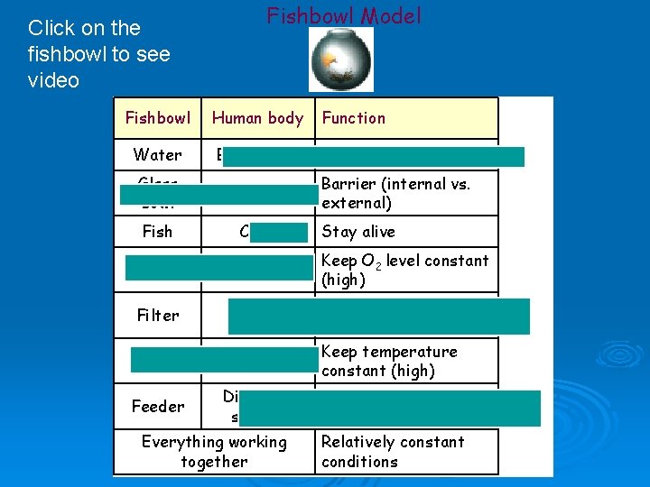 Click on the fishbowl to see video Fishbowl. . Water Fishbowl Model Human body