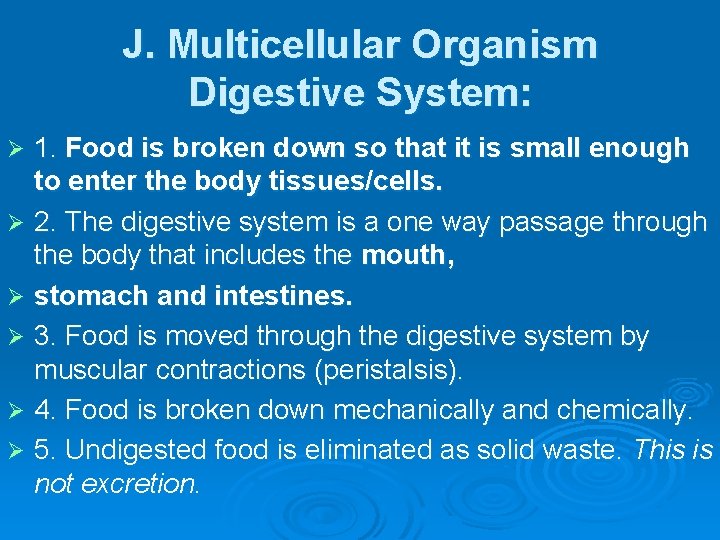 J. Multicellular Organism Digestive System: 1. Food is broken down so that it is
