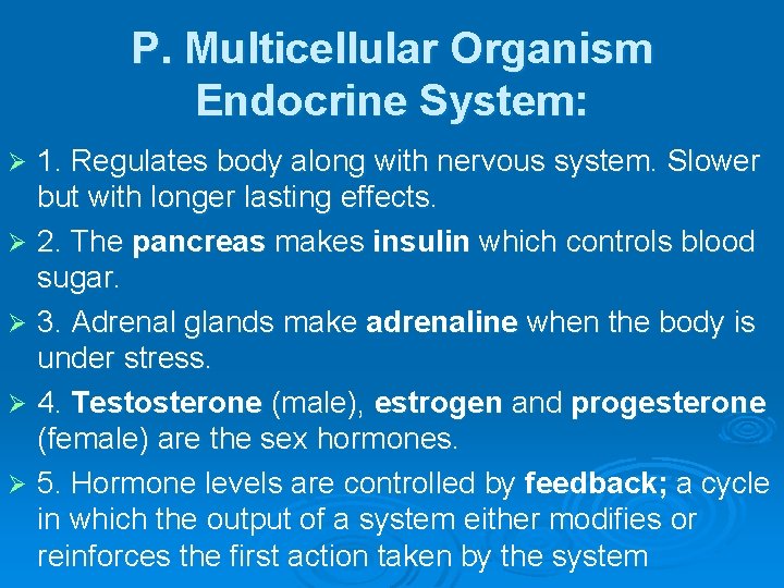 P. Multicellular Organism Endocrine System: 1. Regulates body along with nervous system. Slower but