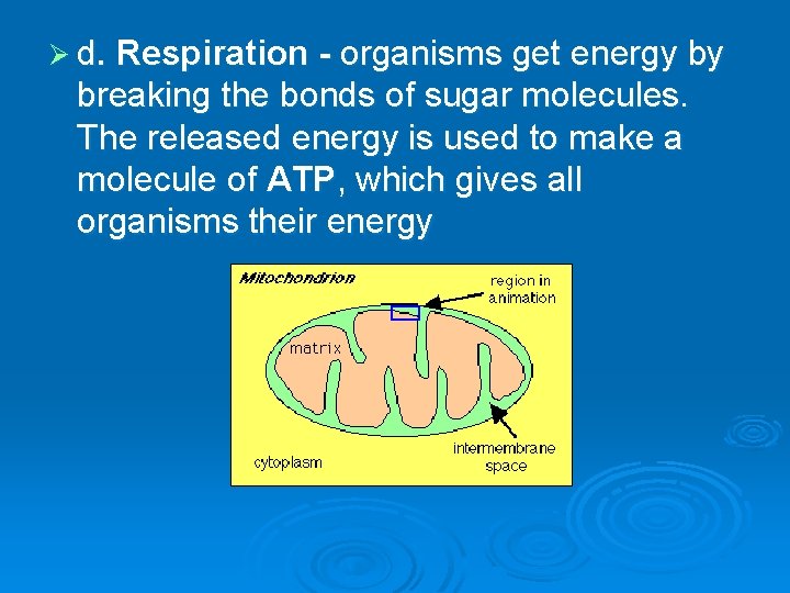 Ø d. Respiration - organisms get energy by breaking the bonds of sugar molecules.