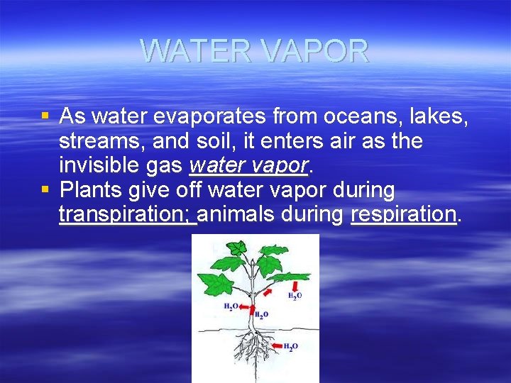 WATER VAPOR § As water evaporates from oceans, lakes, streams, and soil, it enters