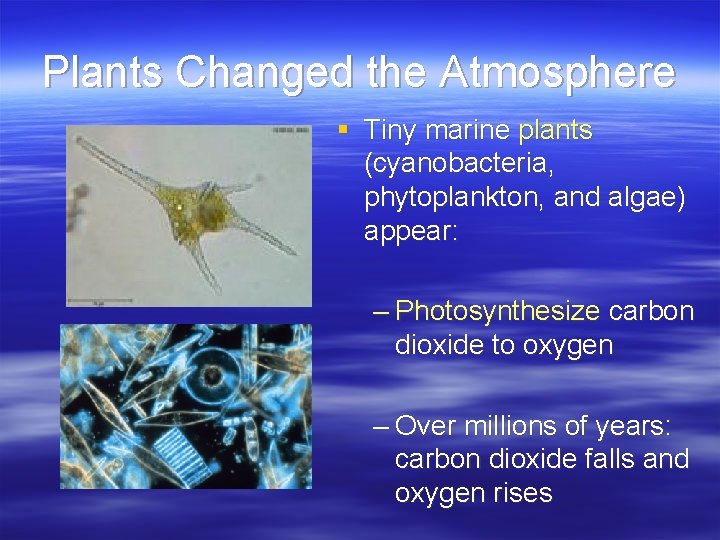 Plants Changed the Atmosphere § Tiny marine plants (cyanobacteria, phytoplankton, and algae) appear: –