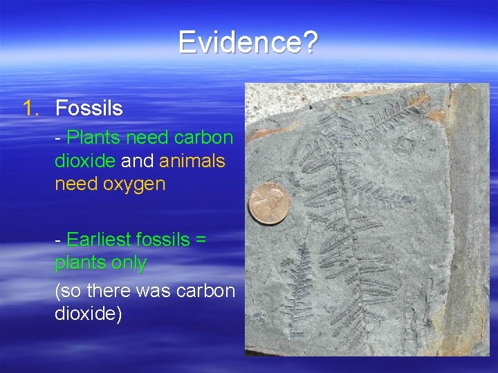 Evidence? 1. Fossils - Plants need carbon dioxide and animals need oxygen - Earliest