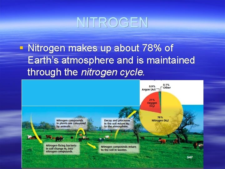NITROGEN § Nitrogen makes up about 78% of Earth’s atmosphere and is maintained through