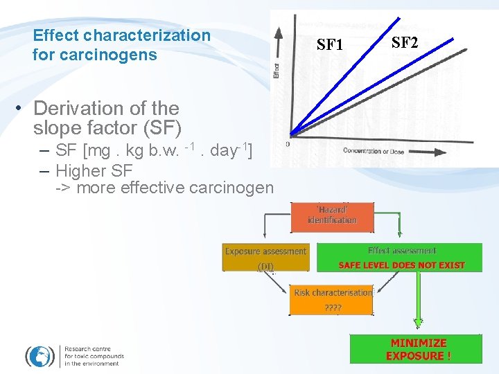 Effect characterization for carcinogens • Derivation of the slope factor (SF) – SF [mg.