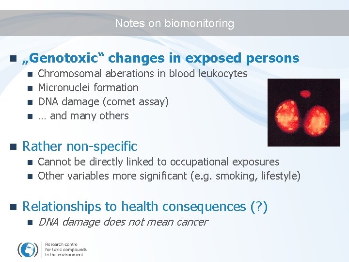 Notes on biomonitoring n „Genotoxic“ changes in exposed persons Chromosomal aberations in blood leukocytes