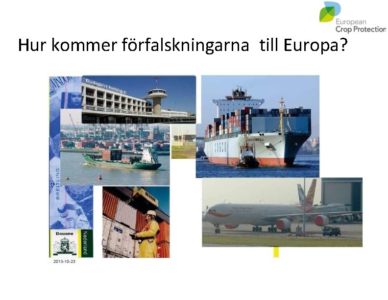 Hur kommer förfalskningarna till Europa? 