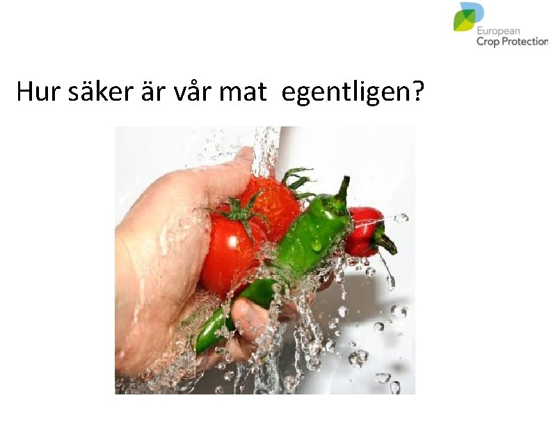 Hur säker är vår mat egentligen? 