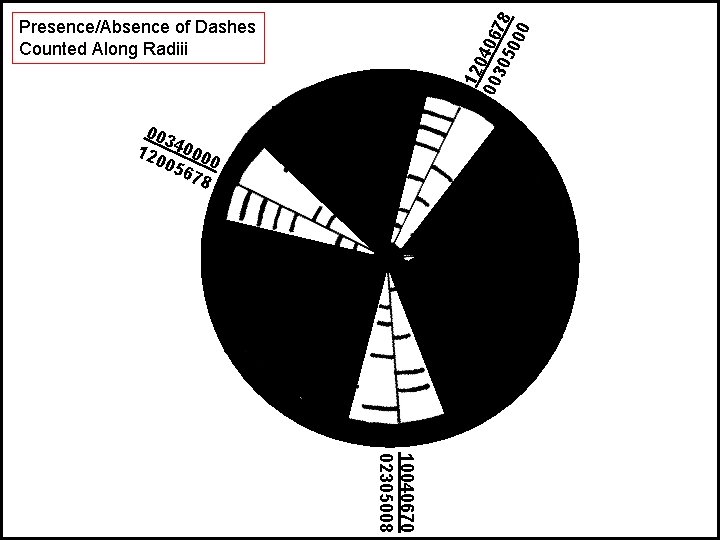 12 0 00 406 7 30 50 8 00 Presence/Absence of Dashes Counted Along