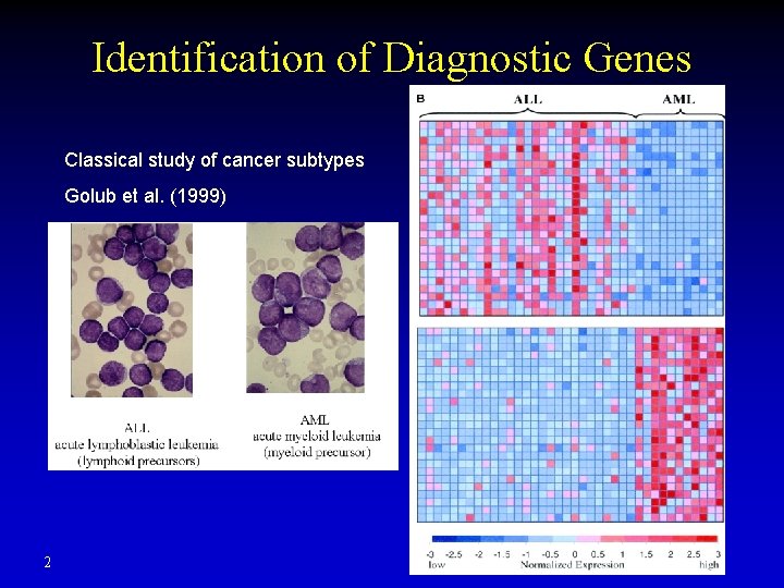 Identification of Diagnostic Genes Classical study of cancer subtypes Golub et al. (1999) 2