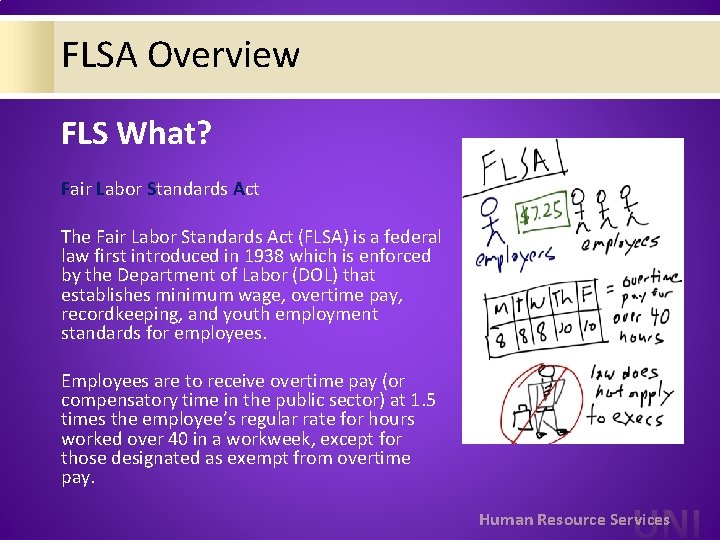 FLSA Overview FLS What? Fair Labor Standards Act The Fair Labor Standards Act (FLSA)
