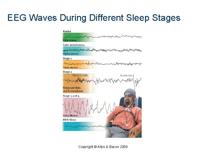 EEG Waves During Different Sleep Stages Copyright © Allyn & Bacon 2009 EEG Waves During Different Sleep Stages Copyright © Allyn & Bacon 2009