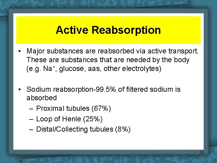 Active Reabsorption • Major substances are reabsorbed via active transport. These are substances that