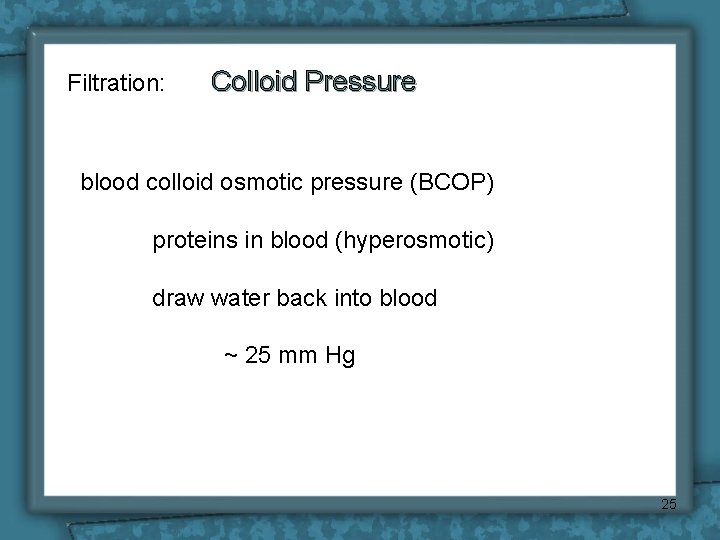 Filtration: Colloid Pressure blood colloid osmotic pressure (BCOP) proteins in blood (hyperosmotic) draw water