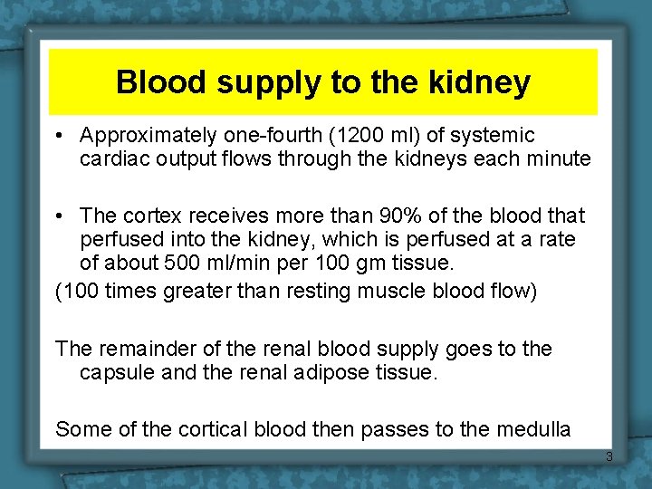 Blood supply to the kidney • Approximately one-fourth (1200 ml) of systemic cardiac output