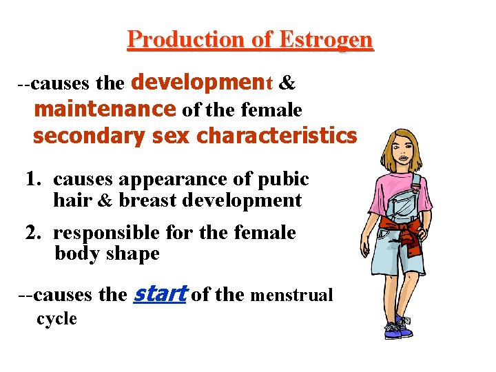 Production of Estrogen --causes the development & maintenance of the female secondary sex characteristics