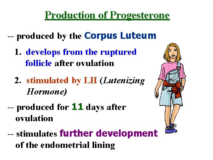 Production of Progesterone -- produced by the Corpus Luteum 1. develops from the ruptured