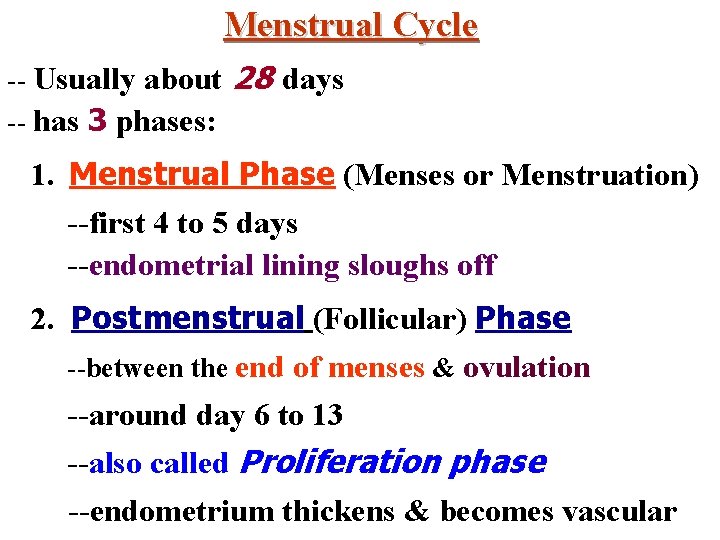 Menstrual Cycle -- Usually about -- has 3 phases: 28 days 1. Menstrual Phase