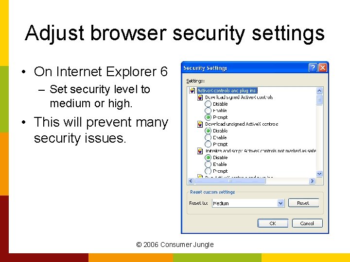 Adjust browser security settings • On Internet Explorer 6 – Set security level to