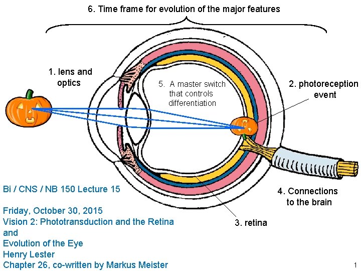 6. Time frame for evolution of the major features 1. lens and optics 2. 6. Time frame for evolution of the major features 1. lens and optics 2.