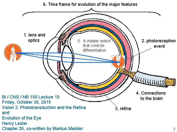6. Time frame for evolution of the major features 1. lens and optics 2. 6. Time frame for evolution of the major features 1. lens and optics 2.