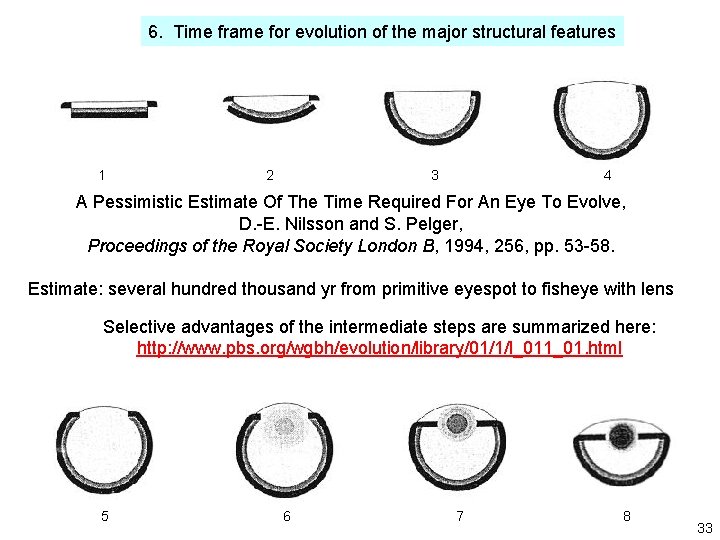 6. Time frame for evolution of the major structural features 1 2 3 4 6. Time frame for evolution of the major structural features 1 2 3 4