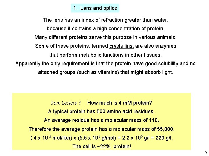 1. Lens and optics The lens has an index of refraction greater than water, 1. Lens and optics The lens has an index of refraction greater than water,