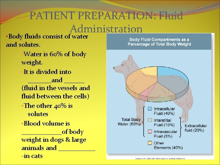 PATIENT PREPARATION: Fluid Administration • Body fluids consist of water and solutes. • Water