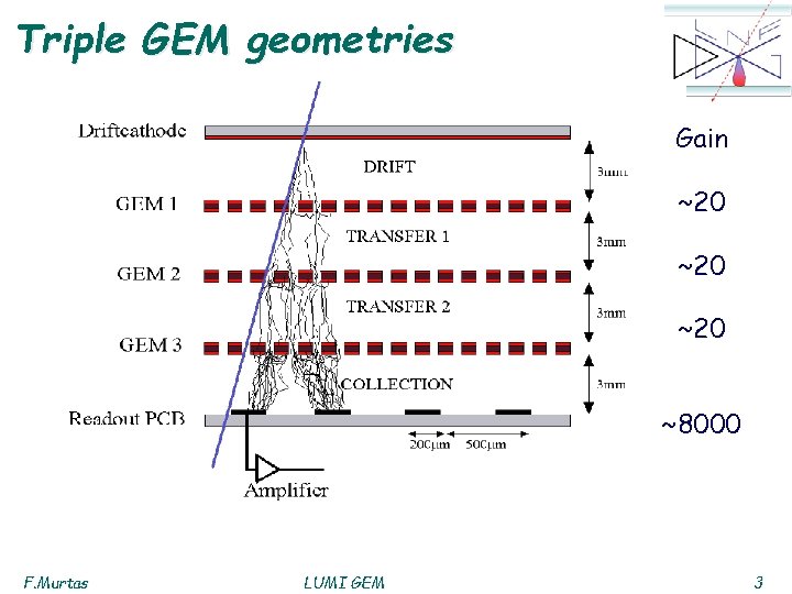 Triple GEM geometries Gain ~20 ~20 ~8000 F. Murtas LUMI GEM 3 