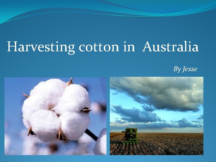Harvesting cotton in Australia By Jesse 