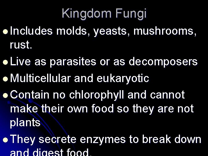 Kingdom Fungi l Includes molds, yeasts, mushrooms, rust. l Live as parasites or as
