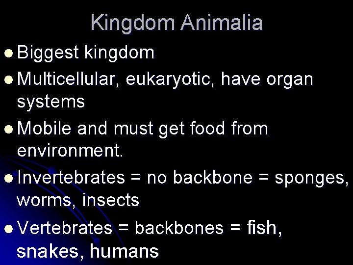 Kingdom Animalia l Biggest kingdom l Multicellular, eukaryotic, have organ systems l Mobile and