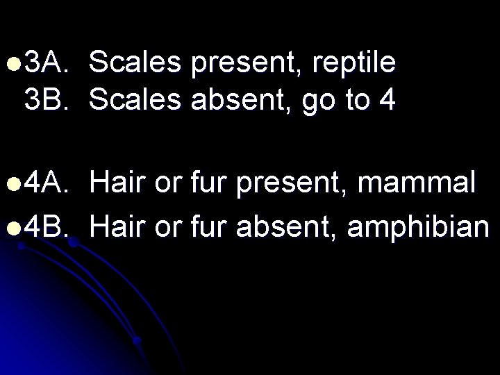 l 3 A. Scales present, reptile 3 B. Scales absent, go to 4 l