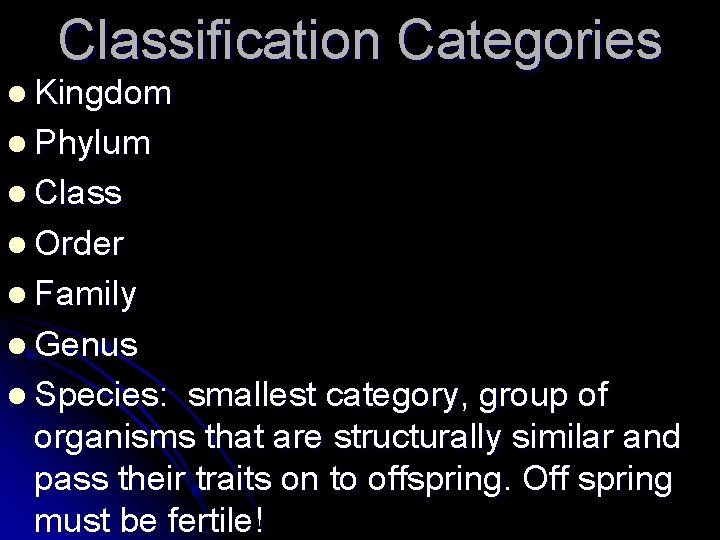 Classification Categories l Kingdom l Phylum l Class l Order l Family l Genus