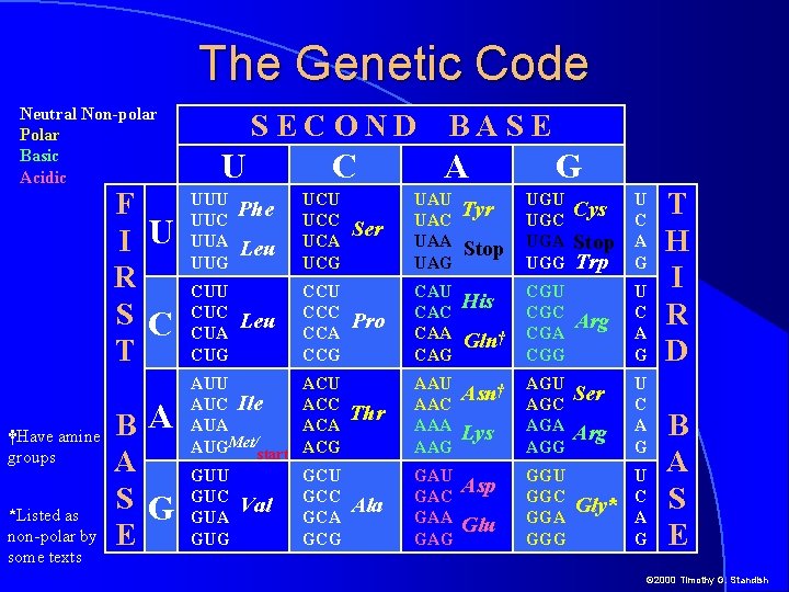 The Genetic Code Neutral Non-polar Polar Basic Acidic F I U R S C