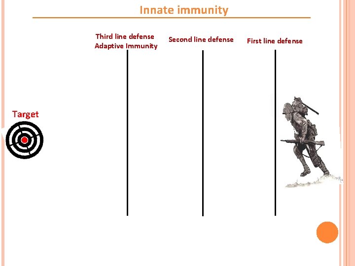 Innate immunity Third line defense Adaptive Immunity Target Second line defense First line defense