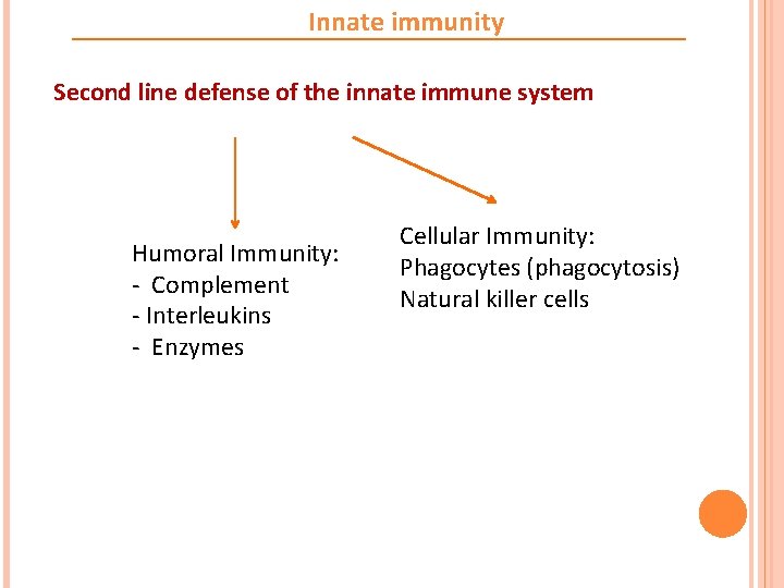 Innate immunity Second line defense of the innate immune system Humoral Immunity: - Complement
