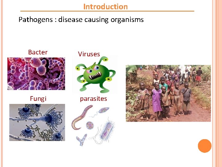 Introduction Pathogens : disease causing organisms Bacter ia Viruses Fungi parasites 
