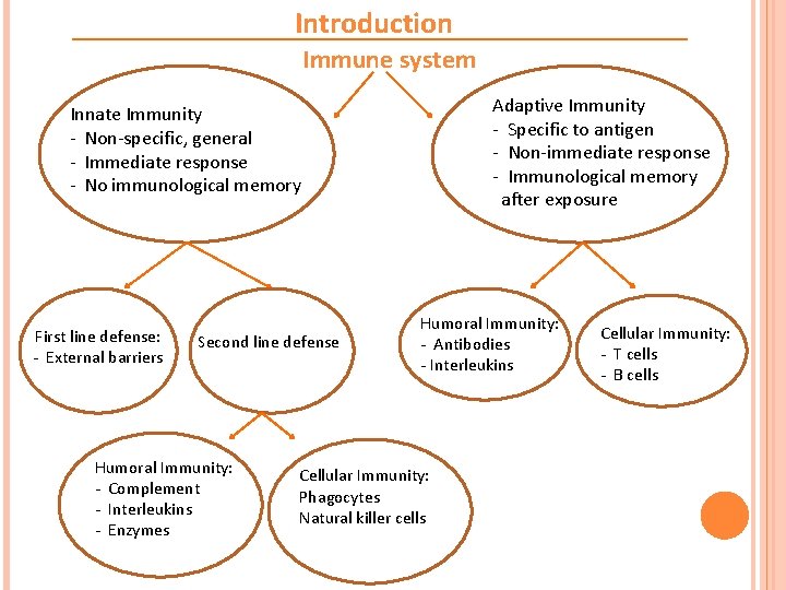 Introduction Immune system Adaptive Immunity - Specific to antigen - Non-immediate response - Immunological