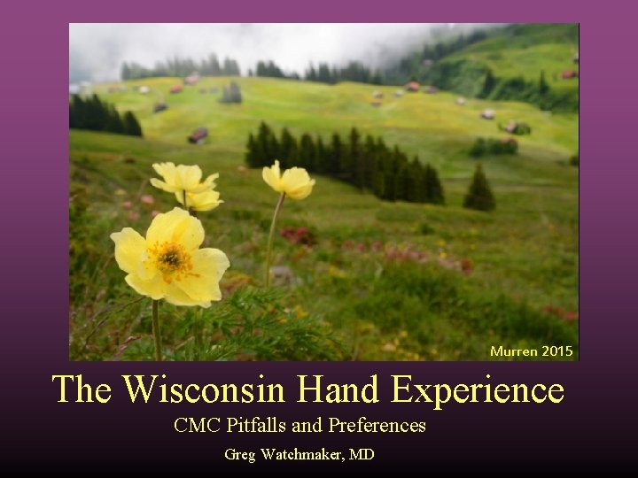 Murren 2015 The Wisconsin Hand Experience CMC Pitfalls and Preferences Greg Watchmaker, MD 