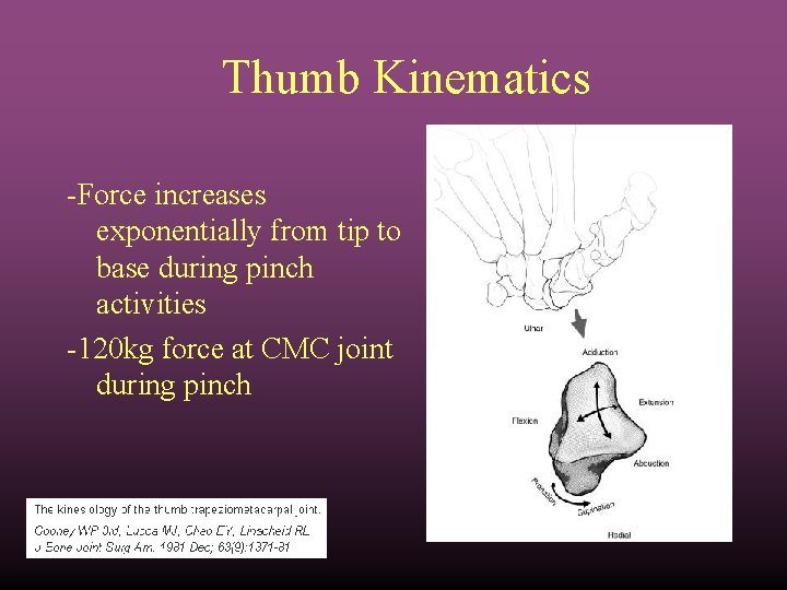 Thumb Kinematics -Force increases exponentially from tip to base during pinch activities -120 kg