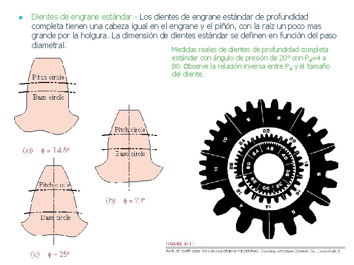 n Dientes de engrane estándar. - Los dientes de engrane estándar de profundidad completa