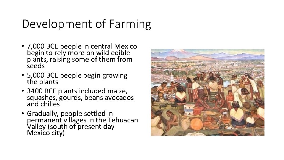 Development of Farming • 7, 000 BCE people in central Mexico begin to rely