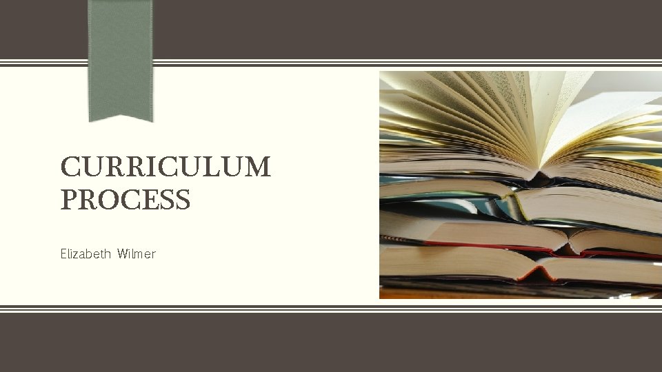 CURRICULUM PROCESS Elizabeth Wilmer 