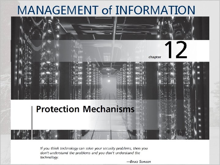 MANAGEMENT of INFORMATION SECURITY, Fifth Edition 