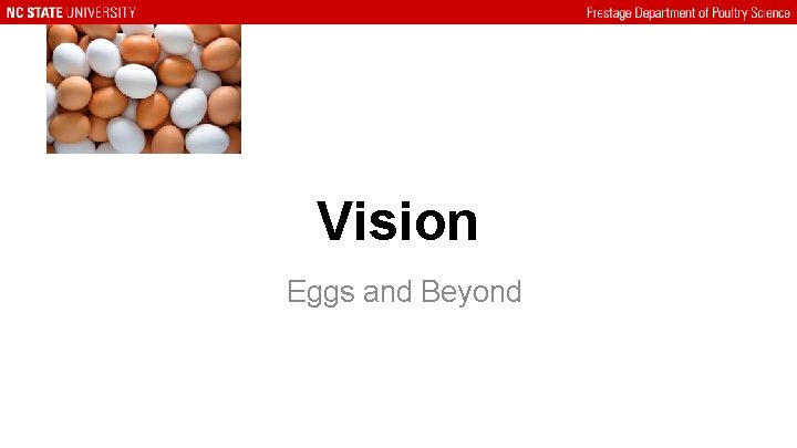 Vision Eggs and Beyond 