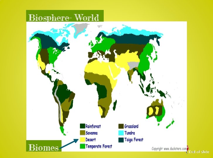 Biosphere- World Biomes 