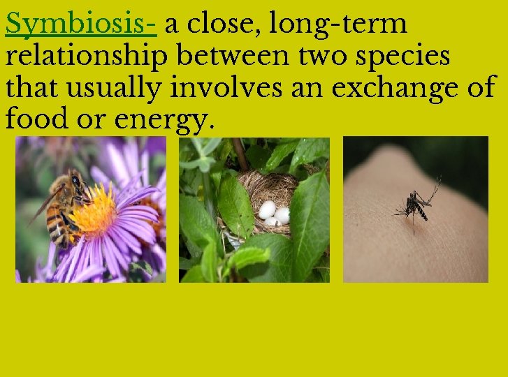 Symbiosis- a close, long-term relationship between two species that usually involves an exchange of