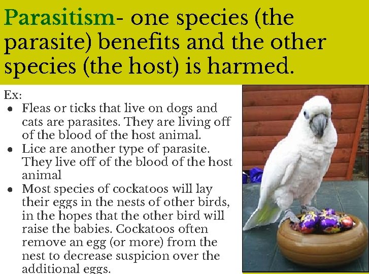 Parasitism- one species (the parasite) benefits and the other species (the host) is harmed.