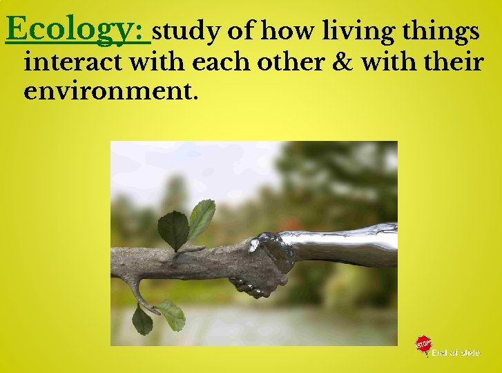 Ecology: study of how living things interact with each other & with their environment.